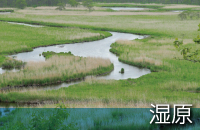 釧路観光情報～湿原